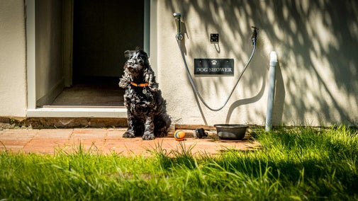 A dog by the outdoor dog shower at Chodd's Farmhouse, Sussex